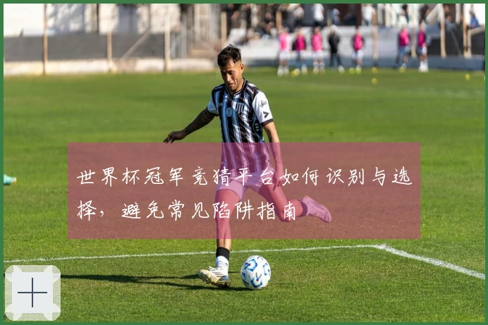 世界杯冠军竞猜平台如何识别与选择，避免常见陷阱指南