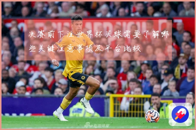 决赛前下注世界杯买球需要了解哪些关键注意事项及平台比较