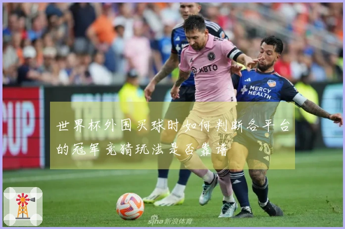 世界杯外围买球时如何判断各平台的冠军竞猜玩法是否靠谱