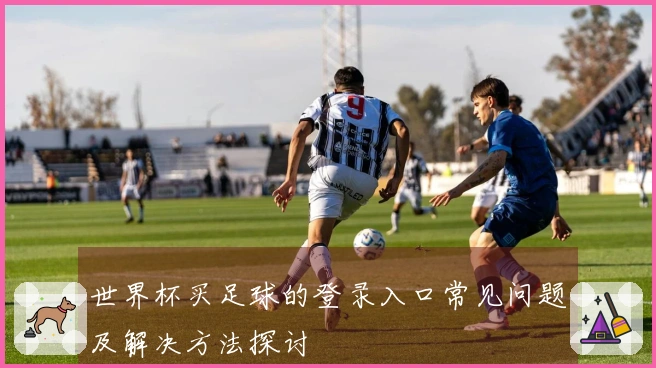 世界杯买足球的登录入口常见问题及解决方法探讨